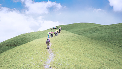 Stake(�й���)�ٷ���վ