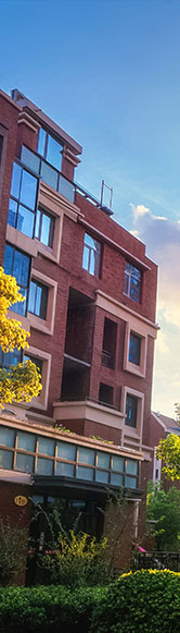 Stake(�й���)�ٷ���վ