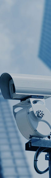 Stake(�й���)�ٷ���վ